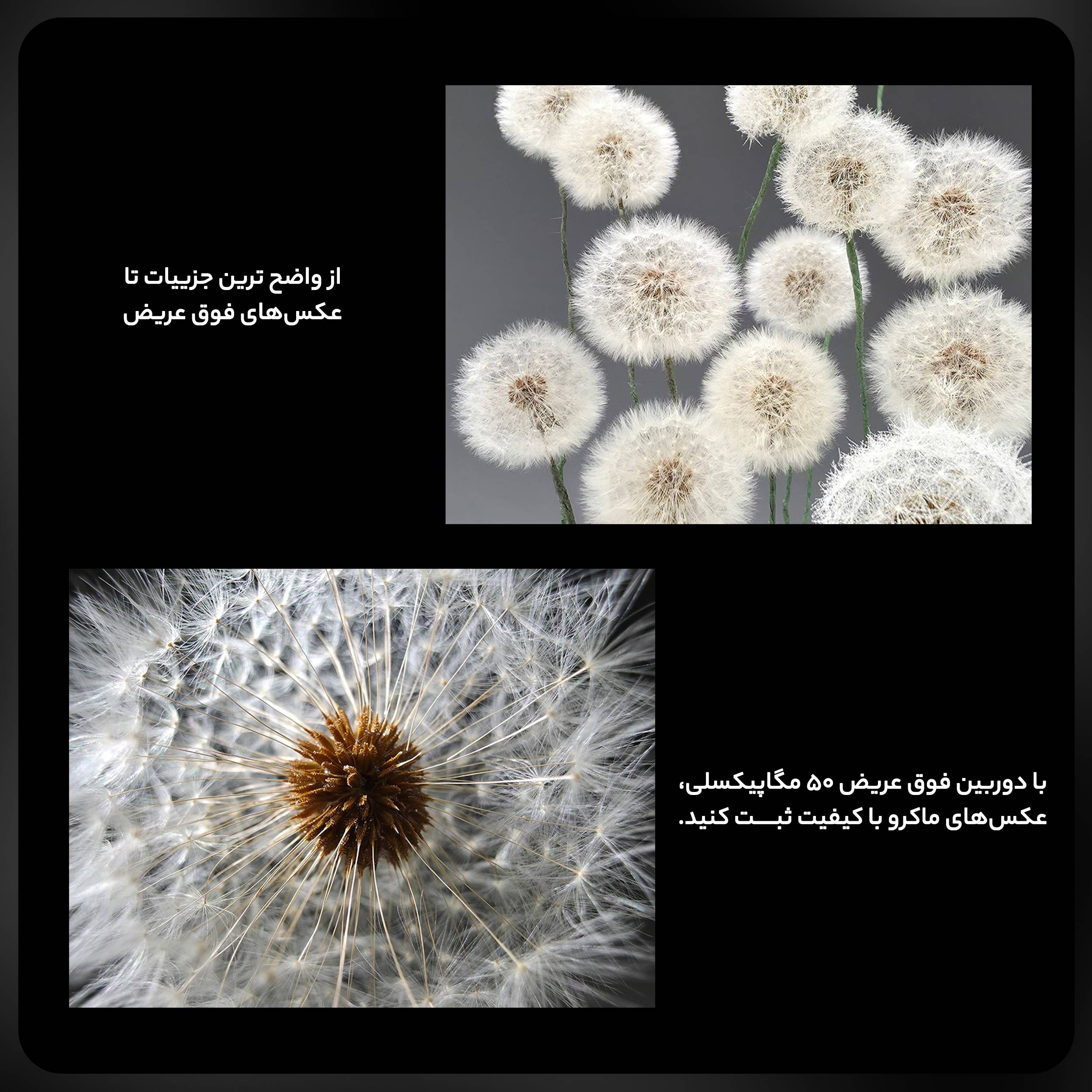 13a6176a9812e1577f7f095a10cbeaf9